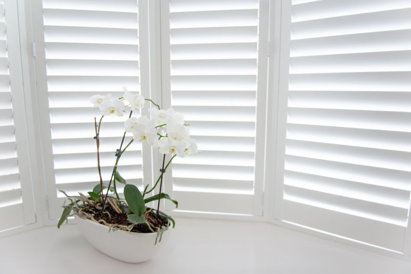 Louvered Shutters Installation detail